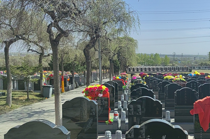 辽宁盛京寝园墓园的风水师都是怎么选墓地的？